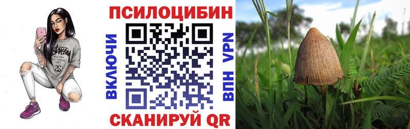 даркнет сайт Ершов darknet наркотические препараты Псилоцибиновые грибы Psilocybine cubensis